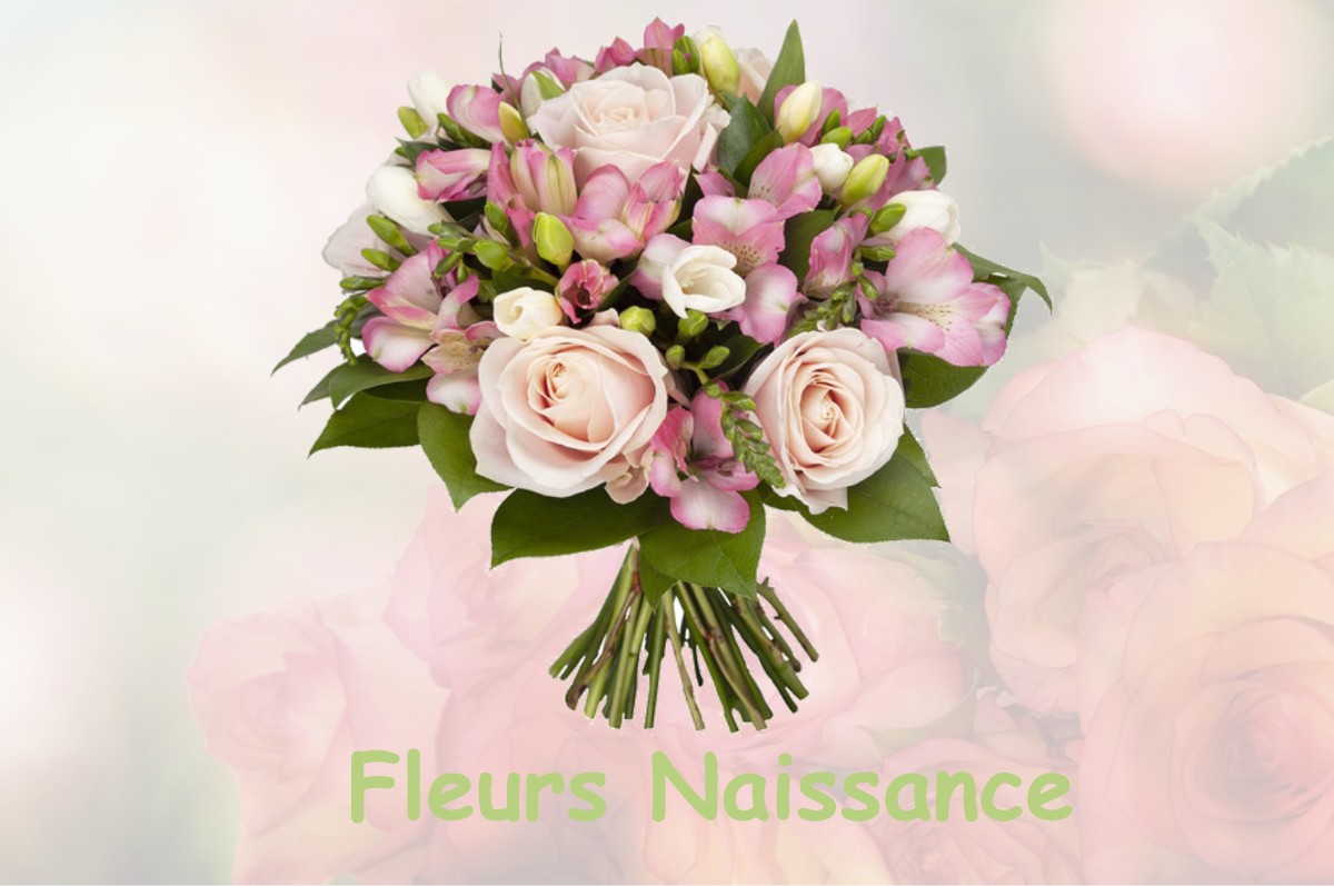 fleurs naissance RENCUREL