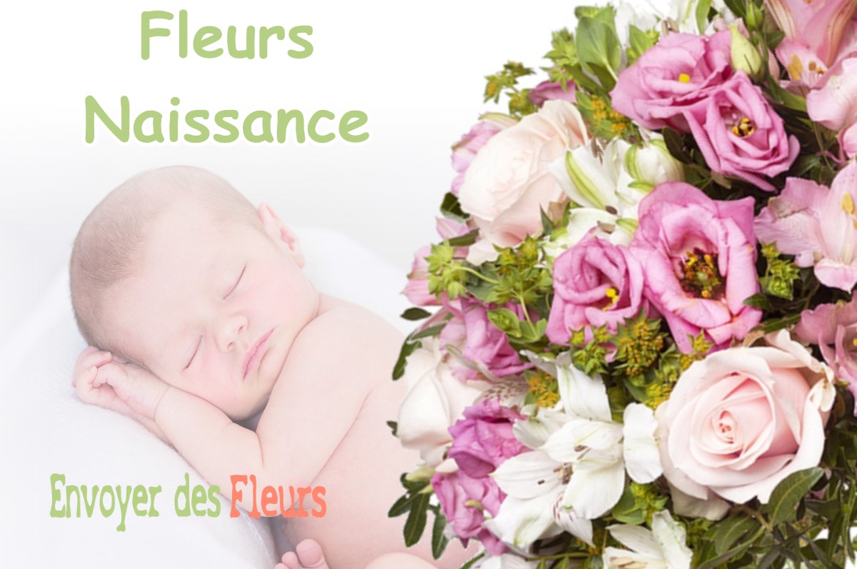 lIVRAISON FLEURS NAISSANCE à RENCUREL